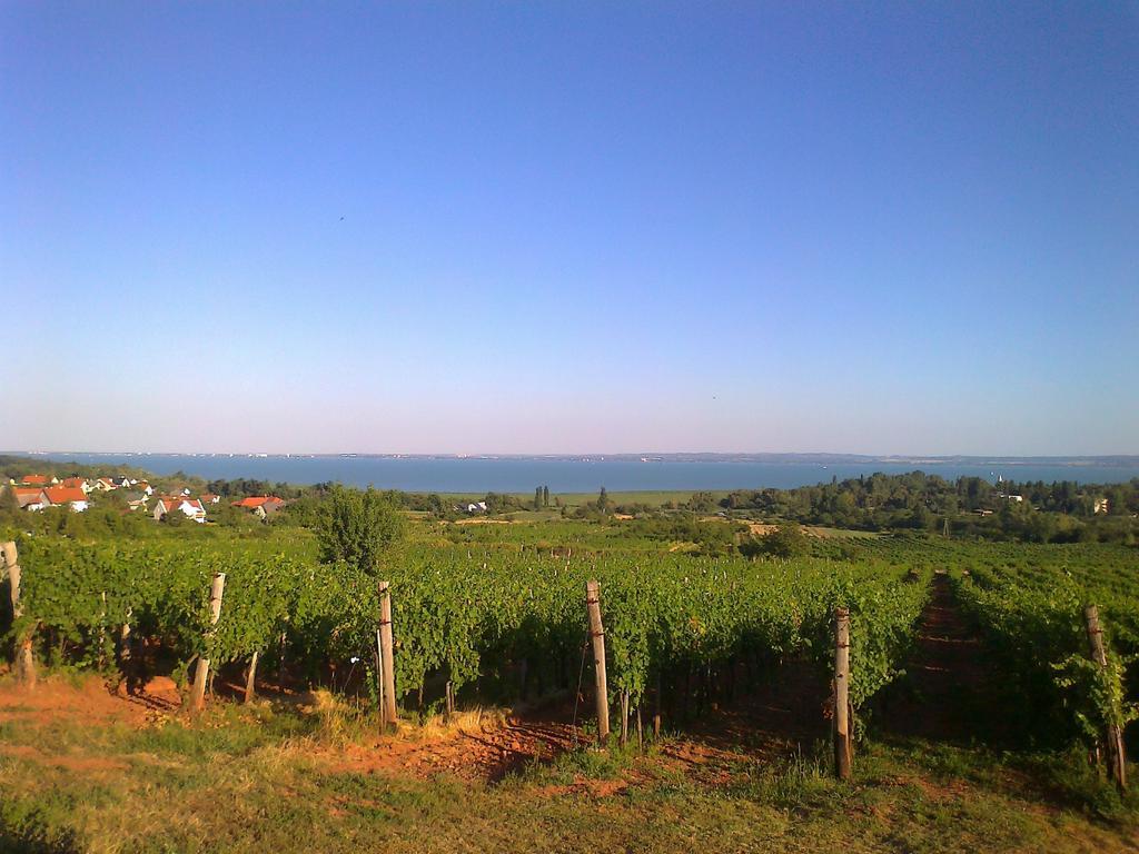 Country House Balaton Paloznak Exterior photo